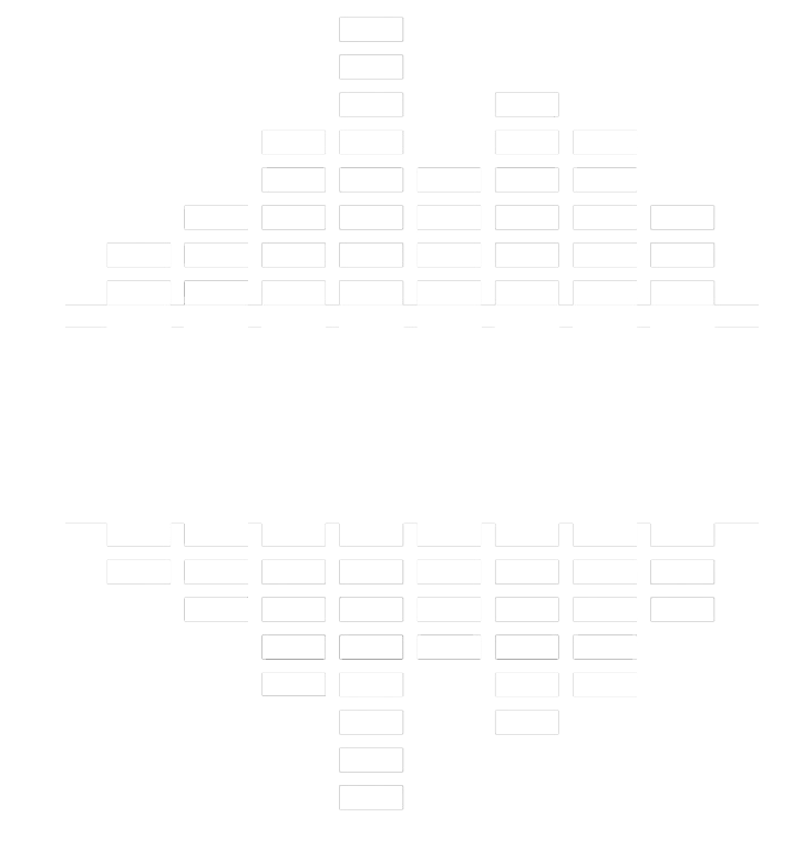 NOISY ONES