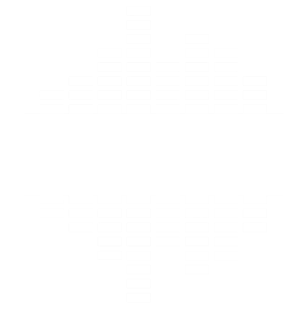 noisy ones logo ww